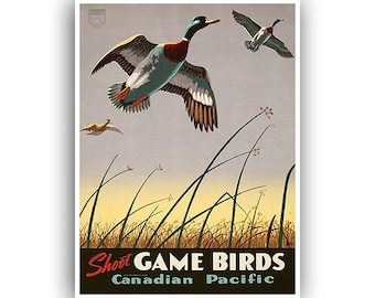 Vintage pato caça arte cartaz esportes decoração arte retro impressão (h418)