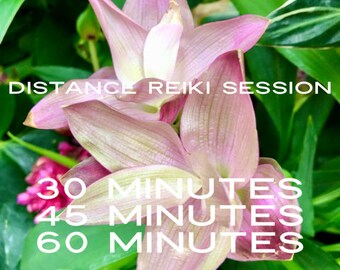 Fern Reiki Sitzung