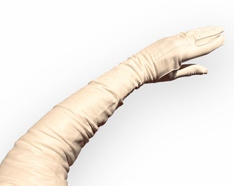 Very long 1920s cream kid leather gloves.