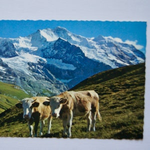 Vintage briefkaart 576 een kleine Scheidegg Jungfrau Jungfraujoch Verlag A. Kiener Schwanden GL post kaart