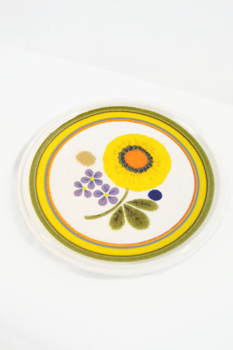 Vintage Pair of Mikasa A La Mode Sunny Days Salad Plates E7301 1970s Lot of 2