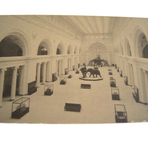 Ongebruikte vintage postkaart - Field Museum of Natural History - Chicago USA - Stanley Field Hall
