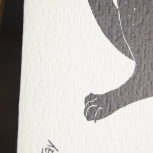 Op de afbeelding: Zwart-witte illustratie van een kat met de handtekening "Jay" rechtsonder.