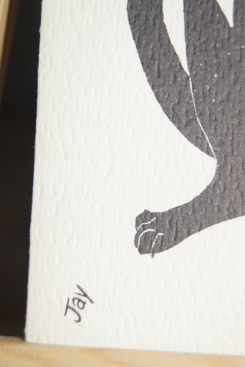 Op de afbeelding: Zwart-witte illustratie van een kat met de handtekening "Jay" rechtsonder.