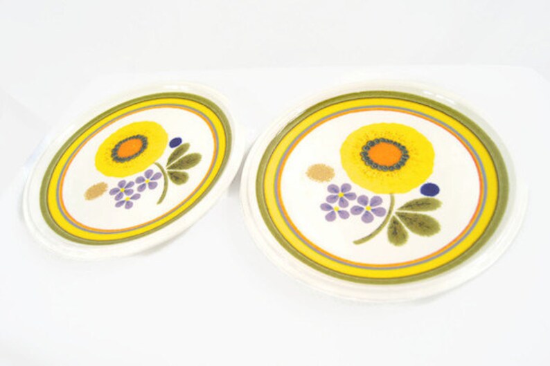 Vintage Pair of Mikasa A La Mode Sunny Days Salad Plates E7301 1970s Lot of 2