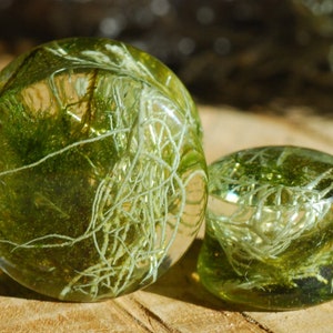 Peut inclure: Deux jauges d'oreille en verre vert avec une r&eacute;sine transparente remplie de mousse verte et de fibres blanches.