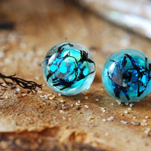 Real Seaweed Stud Earrings, Ocean Resin Earrings, Unique Blue Sea Earrings, Gift for Ocean Lovers, Mermaid Jewelry image 1