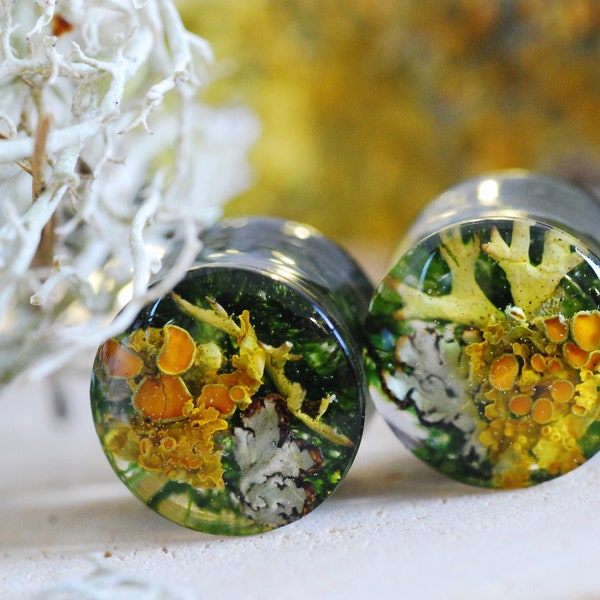 Forest Moss Gauges, Nature Ear Plugs Lichen Terrarium Piercing, Magic Resin Ear Plugs, Fairy Gauges, Real Plant Organic Gauges