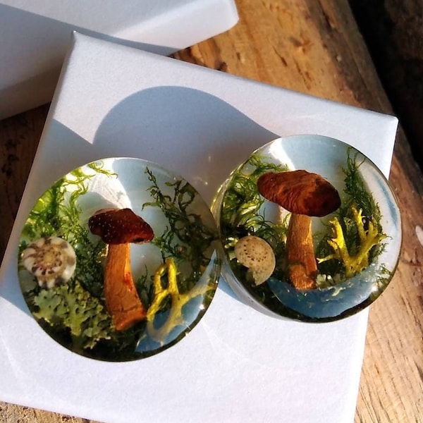Real Mushroom Ear Plugs with Moss, Double Flared Forest Ear Gauges, Magic Mushroom Ear Gauges, Fairy Resin Tunnels, Goblincore Gifts