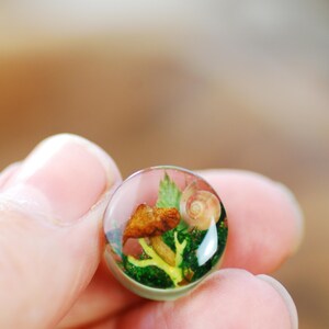 May include: A clear resin sphere with a miniature forest scene inside. The scene includes a small mushroom, a snail shell, and green moss.