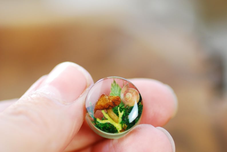 May include: A clear resin sphere with a miniature forest scene inside. The scene includes a small mushroom, a snail shell, and green moss.