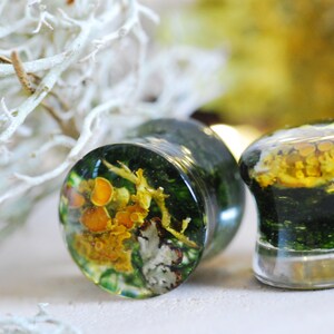 May include: A pair of clear resin ear gauges with embedded yellow and green botanical elements. The gauges feature a variety of small, yellow and orange mushrooms and green moss.
