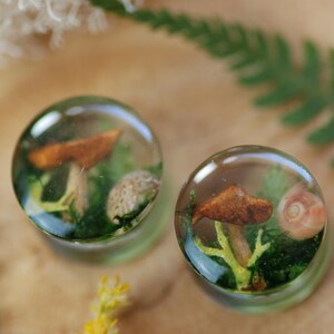 May include: Two clear resin ear gauges with mushroom and fern designs. The gauges are round and have a clear, glassy finish.