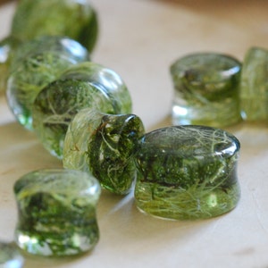 Peut inclure: Une collection de jauges d'oreille en verre vert avec du mat&eacute;riel v&eacute;g&eacute;tal int&eacute;gr&eacute;. Les jauges sont de diff&eacute;rentes tailles et formes, certaines &eacute;tant rondes et d'autres plus allong&eacute;es.