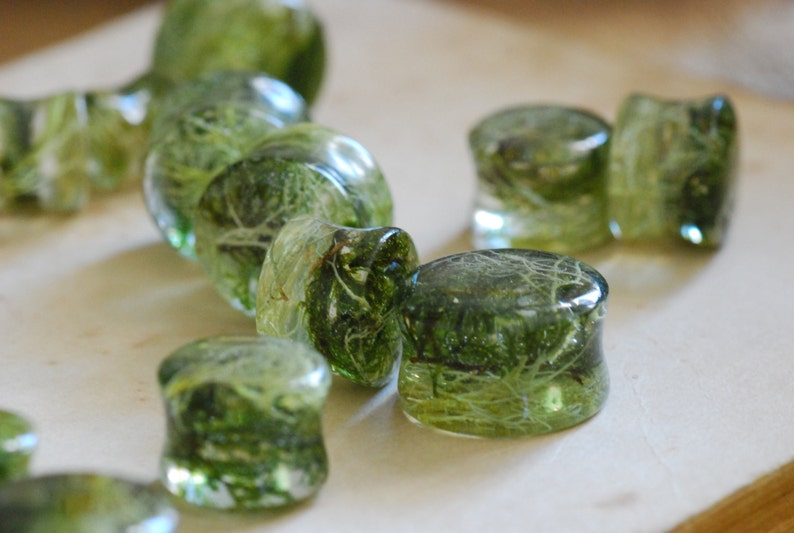 Peut inclure: Une collection de jauges d'oreille en verre vert avec du mat&eacute;riel v&eacute;g&eacute;tal int&eacute;gr&eacute;. Les jauges sont de diff&eacute;rentes tailles et formes, certaines &eacute;tant rondes et d'autres plus allong&eacute;es.