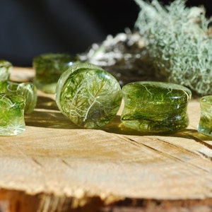 Peut inclure: Un ensemble de six jauges d'oreille en r&eacute;sine verte et transparente avec de la mousse s&eacute;ch&eacute;e et des mati&egrave;res v&eacute;g&eacute;tales incorpor&eacute;es.
