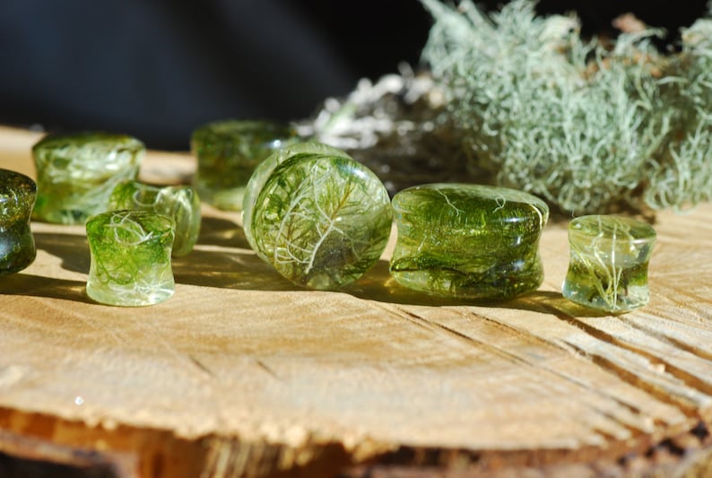 Peut inclure: Un ensemble de six jauges d'oreille en r&eacute;sine verte et transparente avec de la mousse s&eacute;ch&eacute;e et des mati&egrave;res v&eacute;g&eacute;tales incorpor&eacute;es.