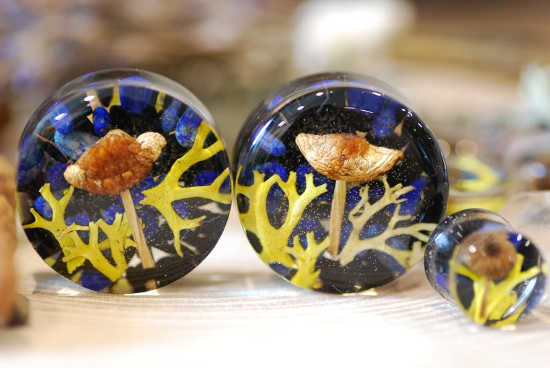 Magic Mushroom Ear Plugs, Botanical Mushroom Resin Gauges, Enchanted Forest Piercing, Nature Resin Ear Plugs image 3