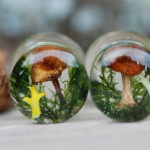 May include: Two clear resin ear gauges with a mushroom and moss design. The mushrooms are brown with white stems and are surrounded by green moss.
