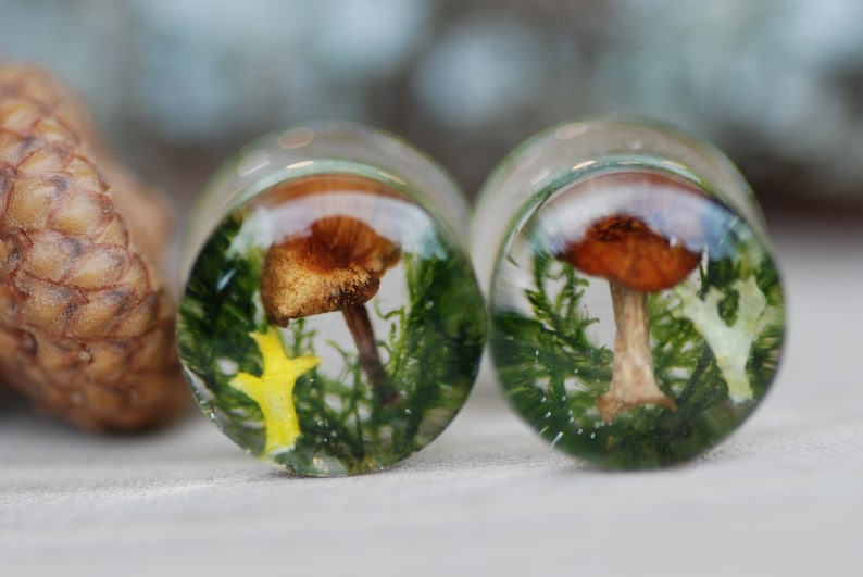 May include: Two clear resin ear gauges with a mushroom and moss design. The mushrooms are brown with white stems and are surrounded by green moss.