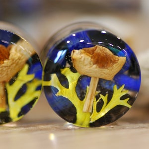 Magic Mushroom Ear Plugs, Botanical Mushroom Resin Gauges, Enchanted Forest Piercing, Nature Resin Ear Plugs image 2