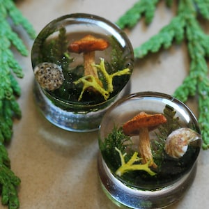 May include: Two clear glass plugs with a mushroom, moss, and seashell design. The plugs are filled with a clear resin and have a natural look.