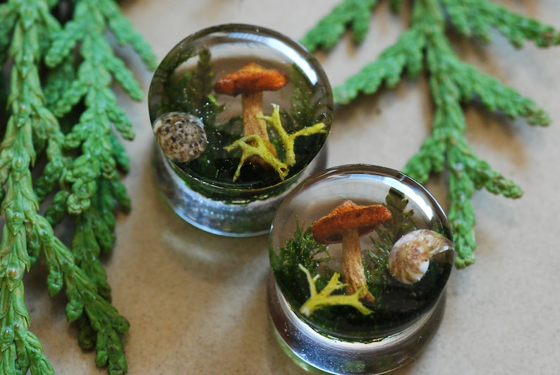 May include: Two clear glass plugs with a mushroom, moss, and seashell design. The plugs are filled with a clear resin and have a natural look.