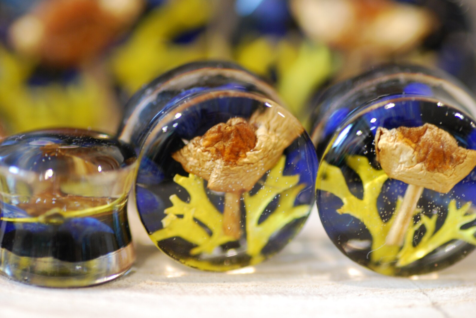 Wild Mushroom Plugs Magic Mushroom Plugs Botanical Gauges Etsy
