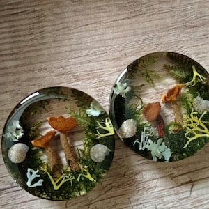 May include: Two round resin earrings with a woodland theme. Each earring features a clear resin dome with embedded mushrooms, moss, and small stones.