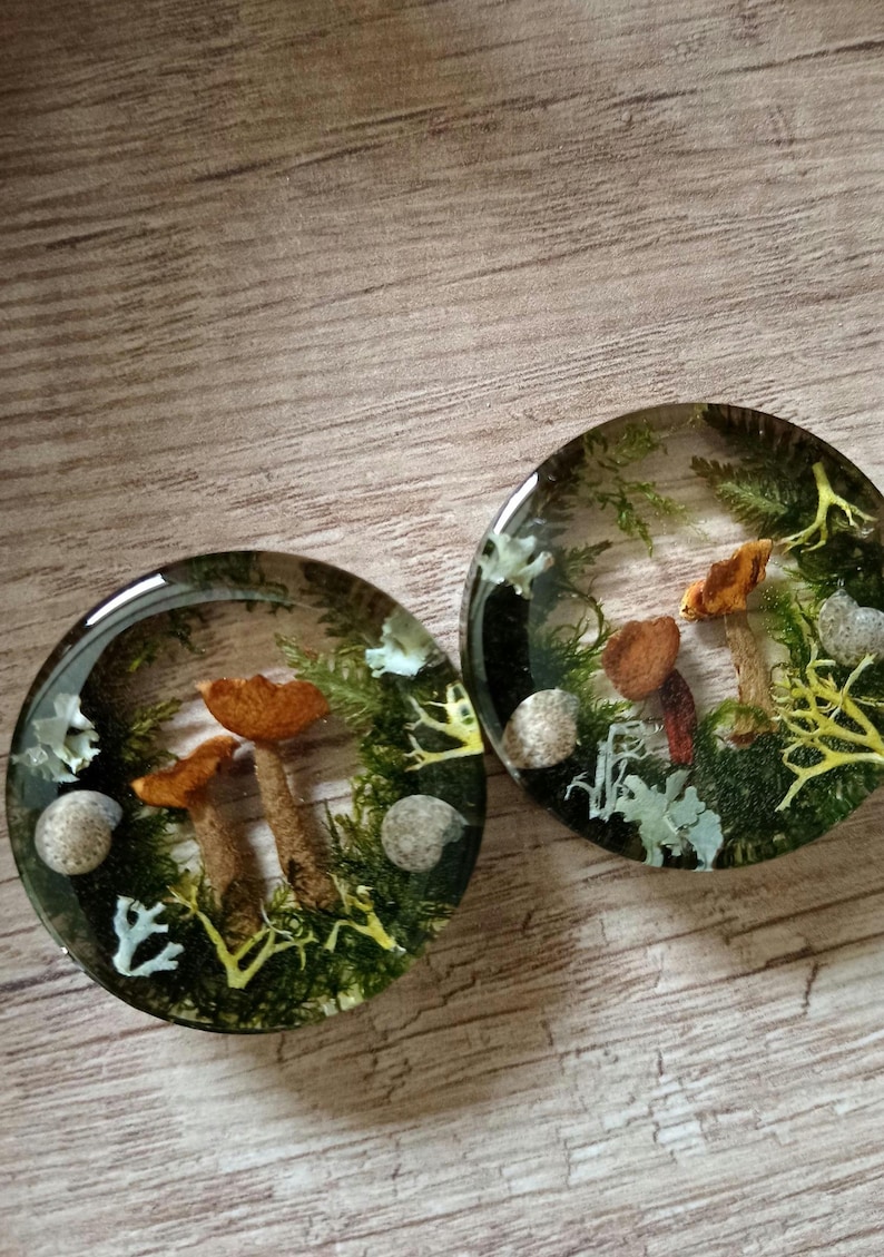 May include: Two round resin earrings with a woodland theme. Each earring features a clear resin dome with embedded mushrooms, moss, and small stones.