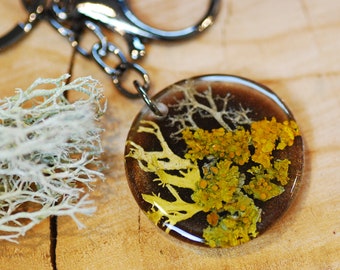 Lichen Forest Keychain, Resin Nature Key Ring, Plant Gift Ideas, Magic Bag Charm, Woodland Key Accessories, Nature Lovers gift