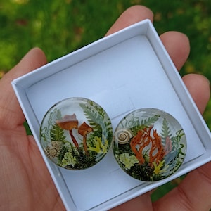 May include: A pair of round resin earrings with a nature theme. The earrings feature pressed flowers, leaves, and mushrooms in shades of green, brown, and orange.