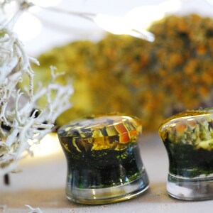 May include: Two clear glass ear gauges with a green moss and yellow flower design. The gauges are round and have a smooth, polished finish.
