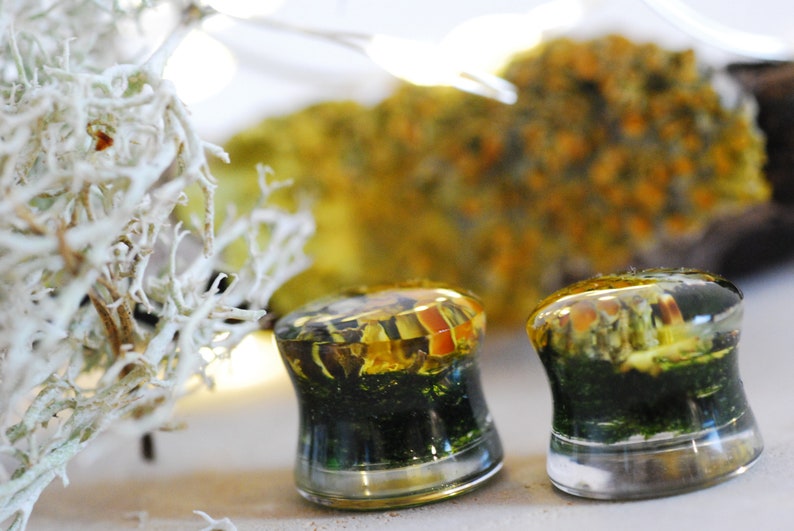 May include: Two clear glass ear gauges with a green moss and yellow flower design. The gauges are round and have a smooth, polished finish.