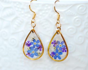 Blue Forget me Not Teardrop Earrings with Baby's Breath Pressed Flowers, Gold Plated Sterling Silver Hooks