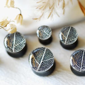 Könnte beinhalten: Eine Sammlung schwarzer und klarer Ohr-Dehnstäbe mit Blattdesign. Die Dehnstäbe haben eine gewölbte, glasartige Oberseite mit einem weißen Blattskelettmuster. Die Dehnstäbe werden auf einer weißen Oberfläche mit getrockneten Blumen präsentiert.