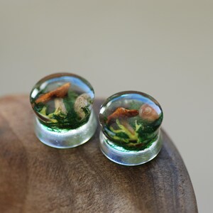 May include: Two clear glass mushroom plugs with a green moss and brown mushroom design.