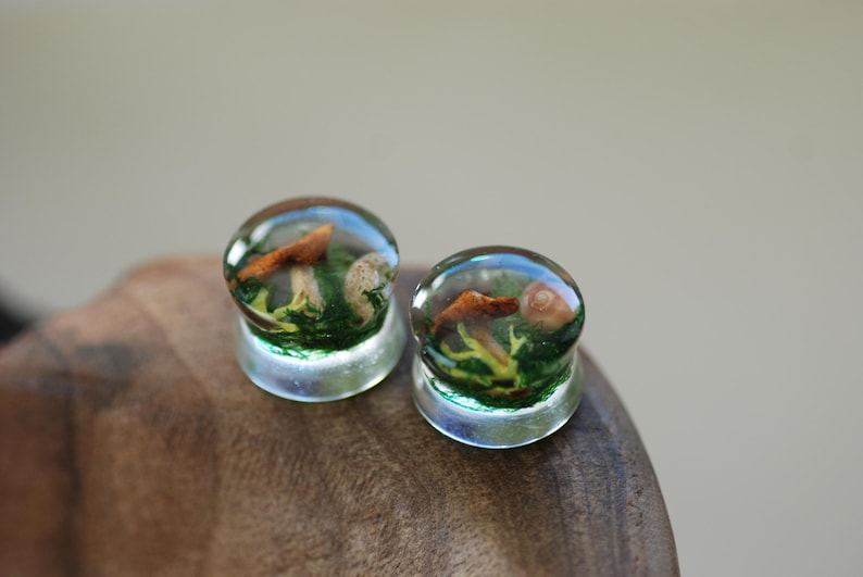 May include: Two clear glass mushroom plugs with a green moss and brown mushroom design.