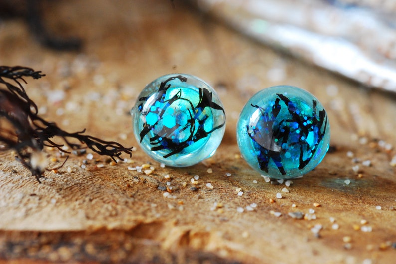 Real Seaweed Stud Earrings, Ocean Resin Earrings, Unique Blue Sea Earrings, Gift for Ocean Lovers, Mermaid Jewelry image 1