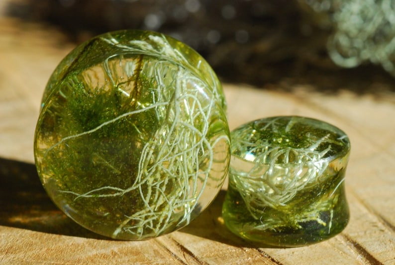 Peut inclure: Deux jauges d'oreille en verre vert avec une r&eacute;sine transparente remplie de mousse verte et de fibres blanches.