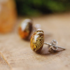 Forest Lichen Stud Earrings, Tree Moss Earrings, Nature Lover Gift, Rustic Post Earrings, Woodland Resin Earrings, Gift for Her image 4