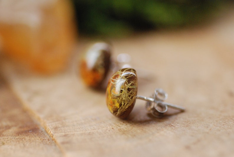 Forest Lichen Stud Earrings, Tree Moss Earrings, Nature Lover Gift, Rustic Post Earrings, Woodland Resin Earrings, Gift for Her image 4