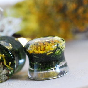 May include: Pair of clear glass ear gauges with yellow and green botanicals encased in resin.