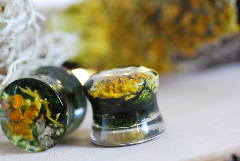 May include: Pair of clear glass ear gauges with yellow and green botanicals encased in resin.