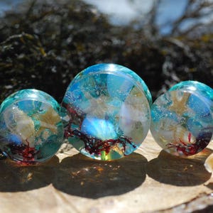 Ocean Ear Plugs Mermaid Gauges Turquoise Gemstone Gauges - Etsy