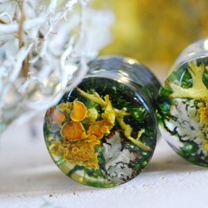 May include: A pair of clear glass ear gauges with a green, yellow, and white floral design. The gauges are filled with a resin-like material that contains small pieces of dried flowers and leaves.