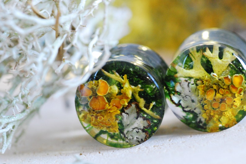 May include: A pair of clear glass ear gauges with a green, yellow, and white floral design. The gauges are filled with a resin-like material that contains small pieces of dried flowers and leaves.