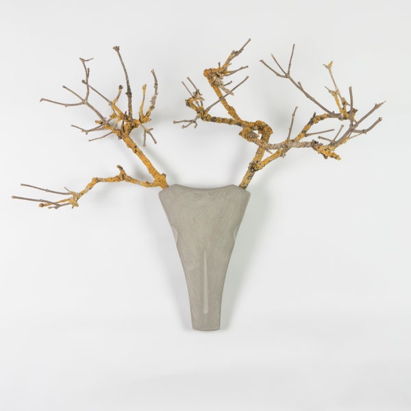 deer antlers "Sxull" - Concrete variation