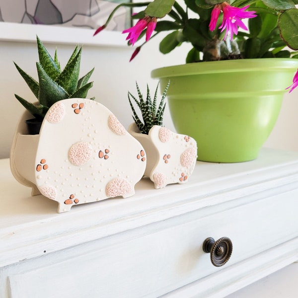 Duo of ceramic pink textured dots planters name Agatha