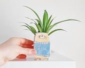 small otter ceramic planter. Small happy ceramic planter. Cactus lovers gift